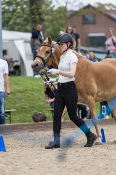Bild 7 - Pony Akademie Turnier